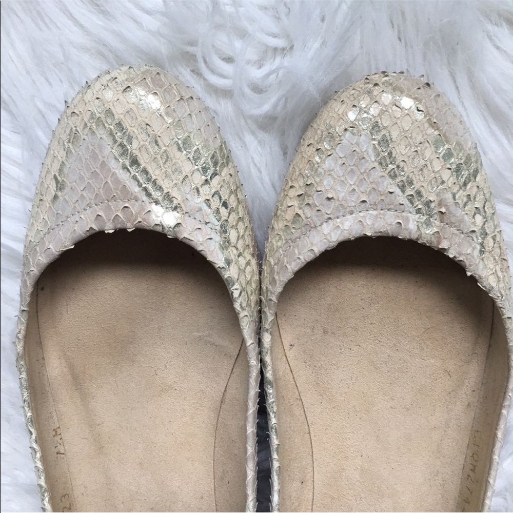 Stuart Weiztman Snake Ballet Flats - image 8